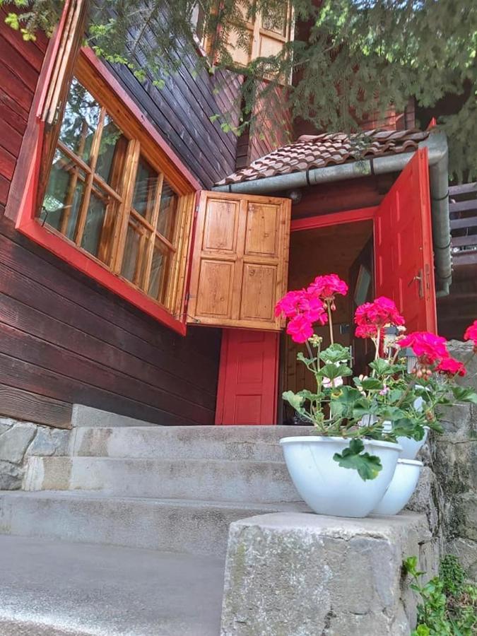 Cabana Sabrina Villa Bran  Bagian luar foto