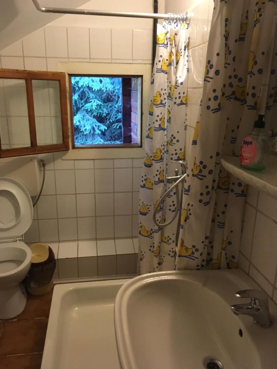 Cabana Sabrina Villa Bran  Bagian luar foto