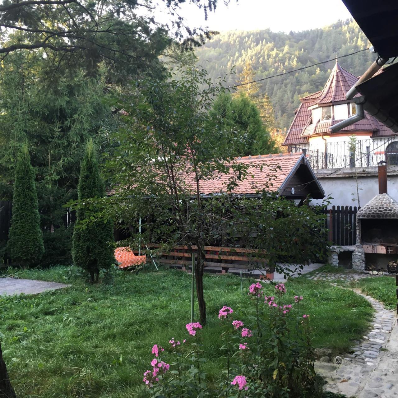 Cabana Sabrina Villa Bran  Bagian luar foto