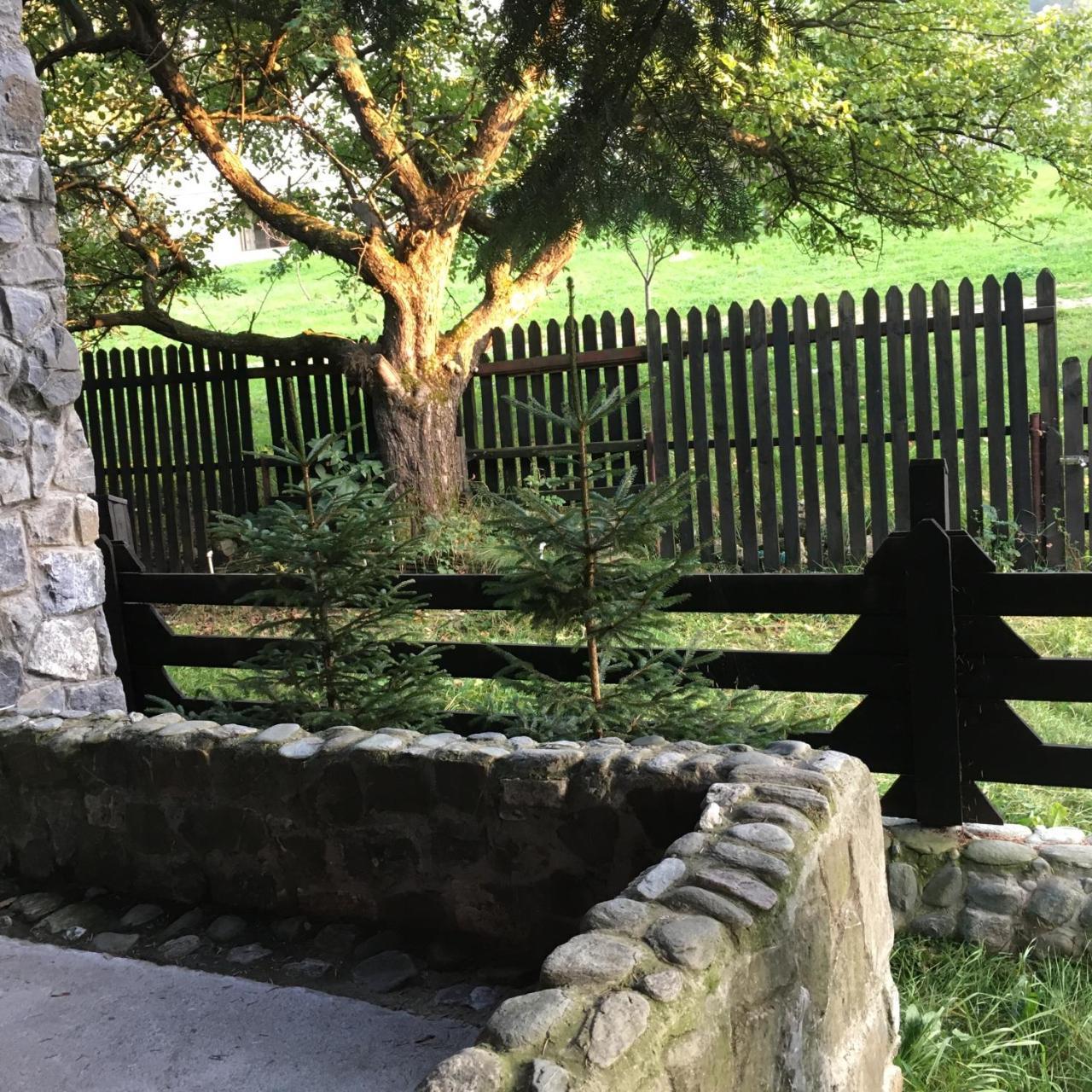 Cabana Sabrina Villa Bran  Bagian luar foto