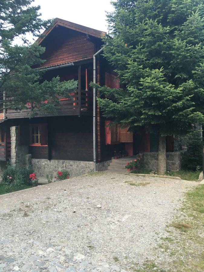 Cabana Sabrina Villa Bran  Bagian luar foto