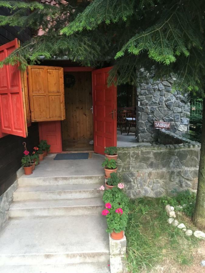 Cabana Sabrina Villa Bran  Bagian luar foto